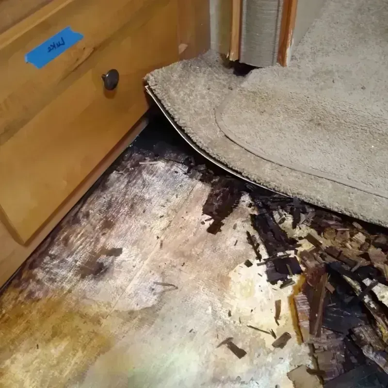 Wood Floor Water Damage in Palm Valley, TX